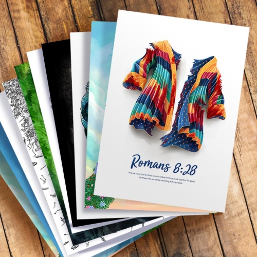 lots of art prints from the L&P Art Print range fanned out in a stack